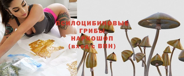 гидра Краснослободск