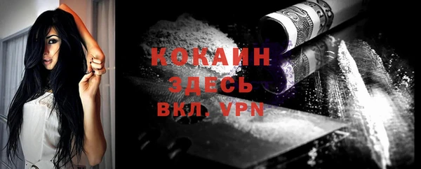 соль ск Арсеньев