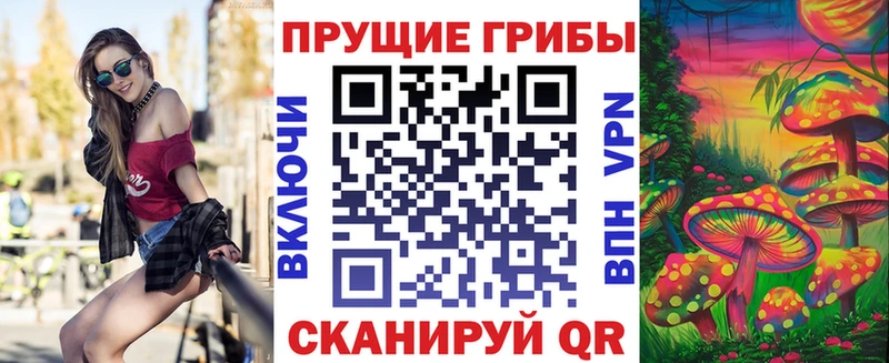 Галлюциногенные грибы Psilocybe  купить наркотик  Белинский 
