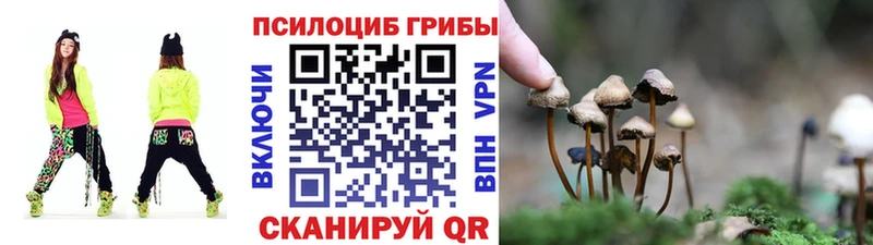 Галлюциногенные грибы Cubensis Белинский
